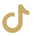 tiktok icon